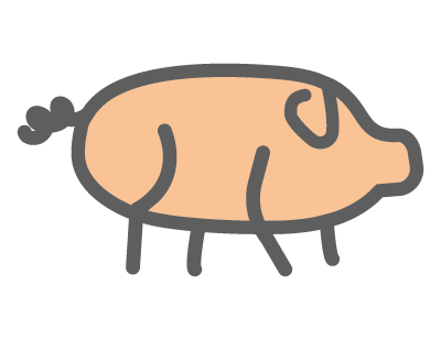 pig icon