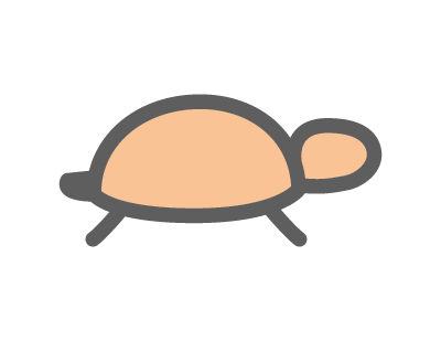 turtle icon