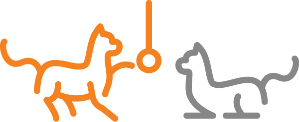 orange and gray cats playing icon
