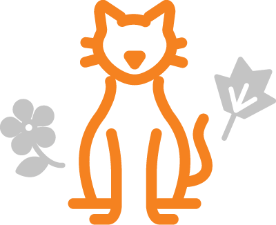 cat icon with spring flower and fall leaf