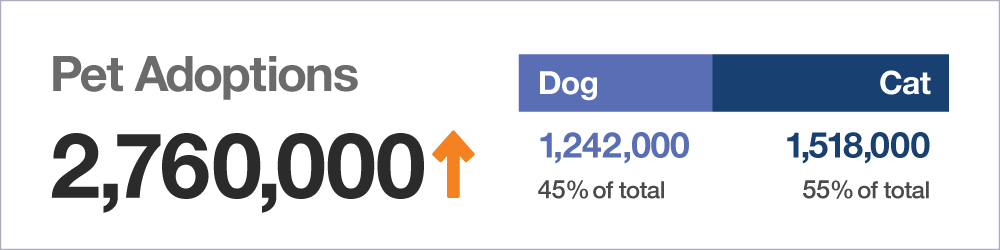 Pet Adoptions statistics