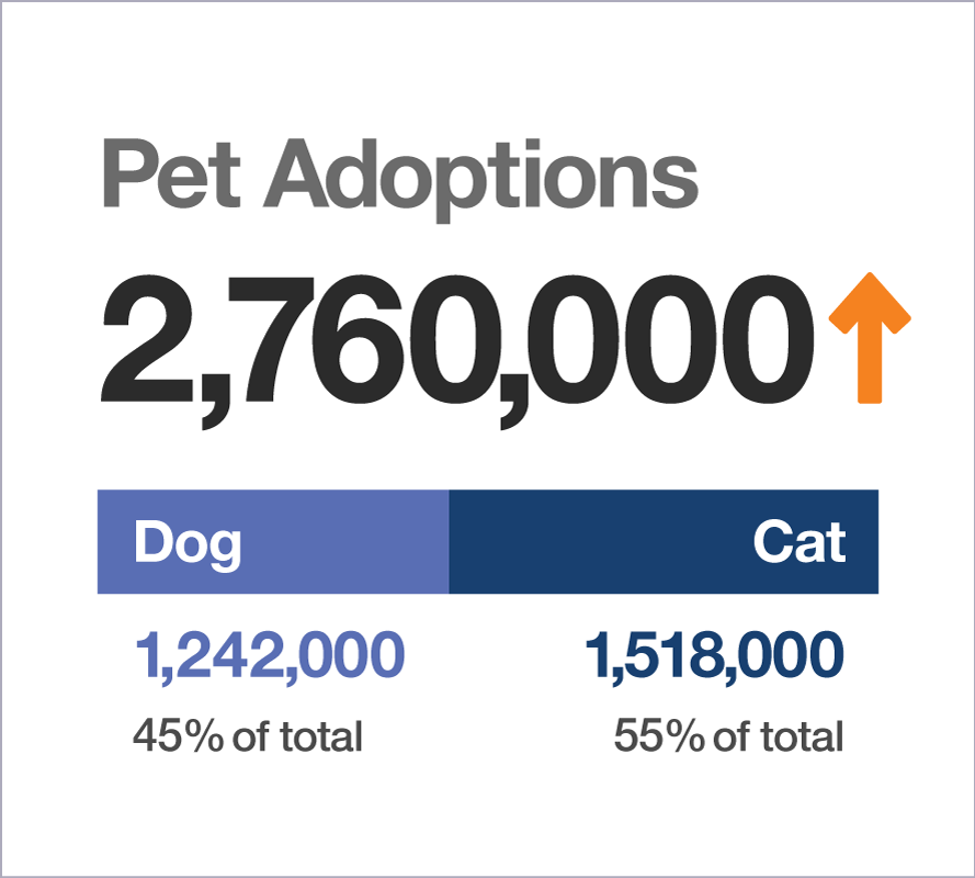 Pet Adoptions statistics