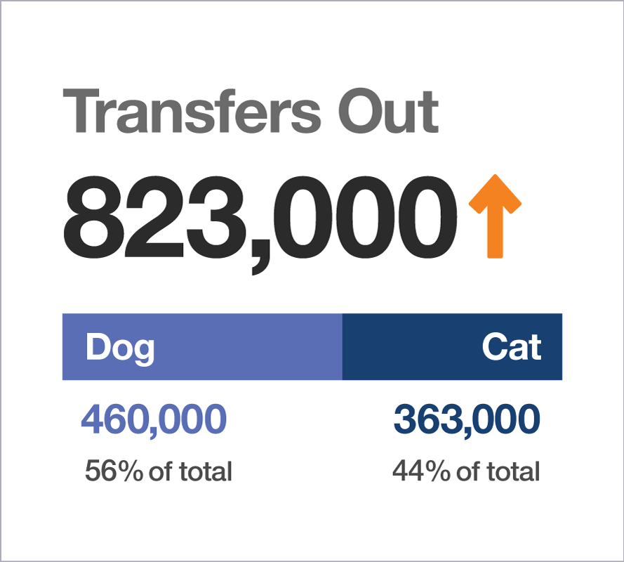 Transfers Out statistics