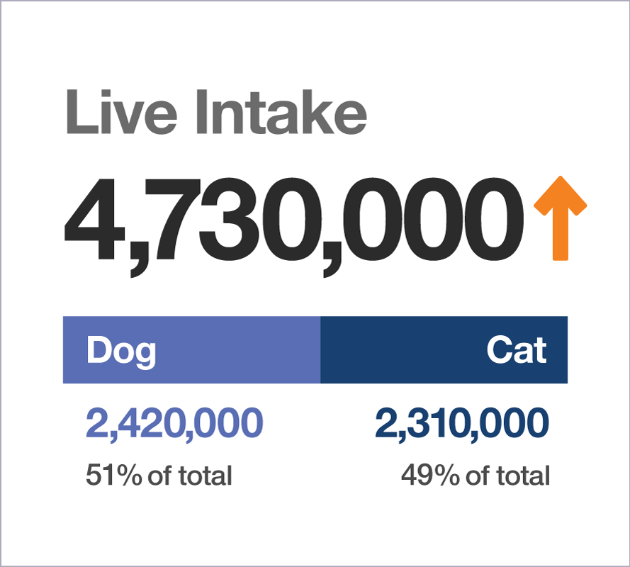 Live Intake graphic