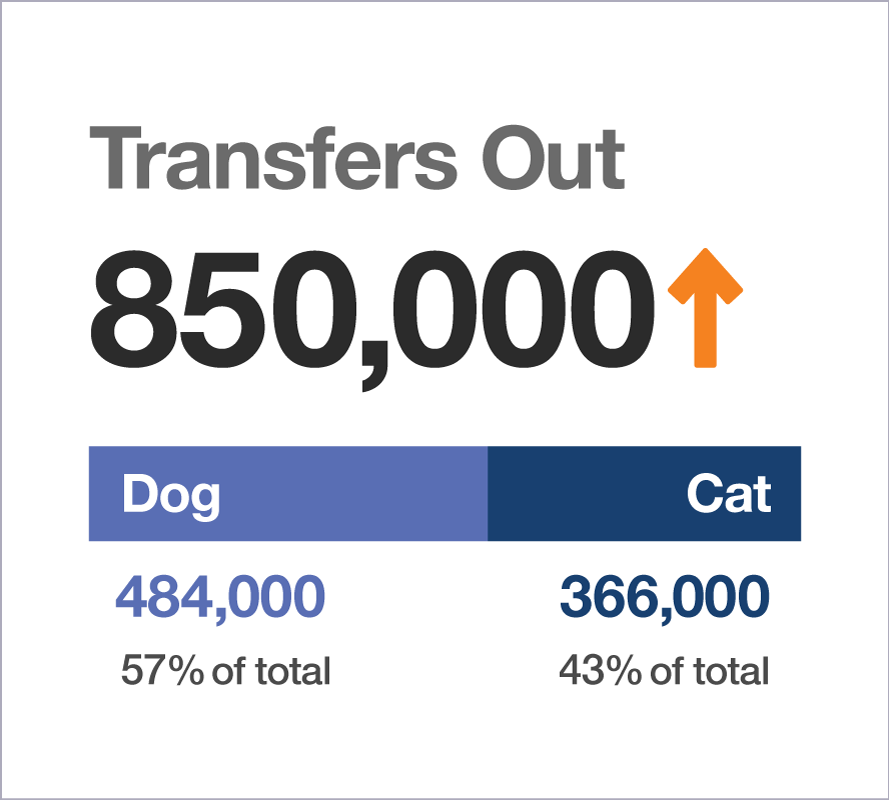 Transfers Out statistics