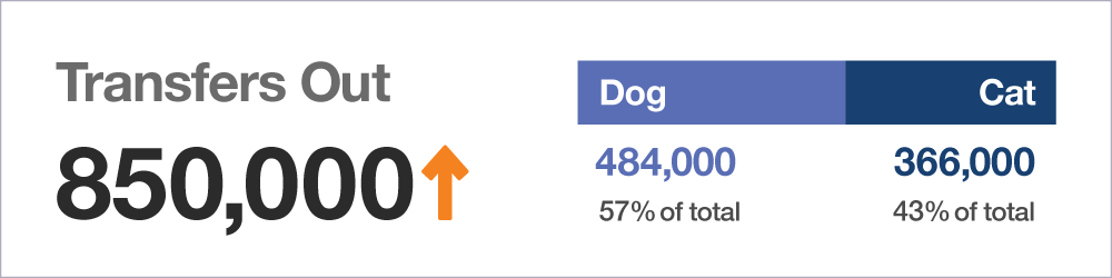 Transfers Out statistics