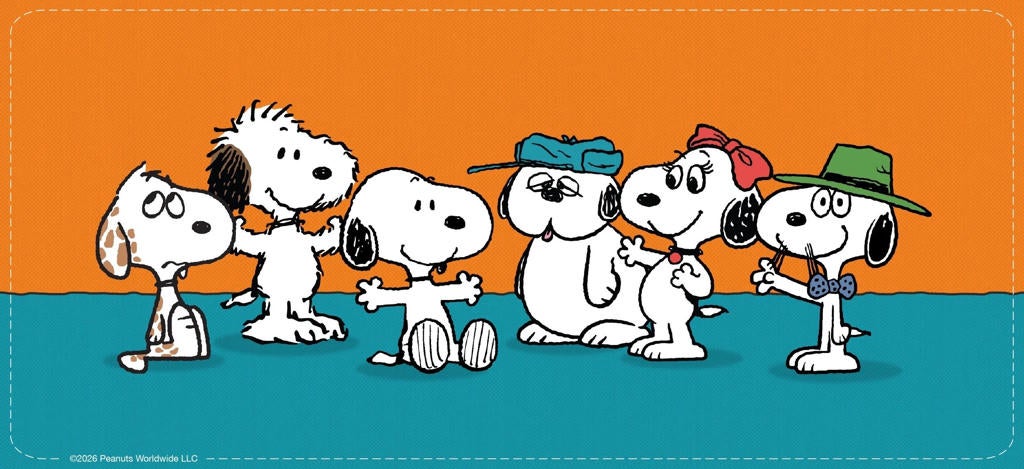 Peanuts - The Perfect Day