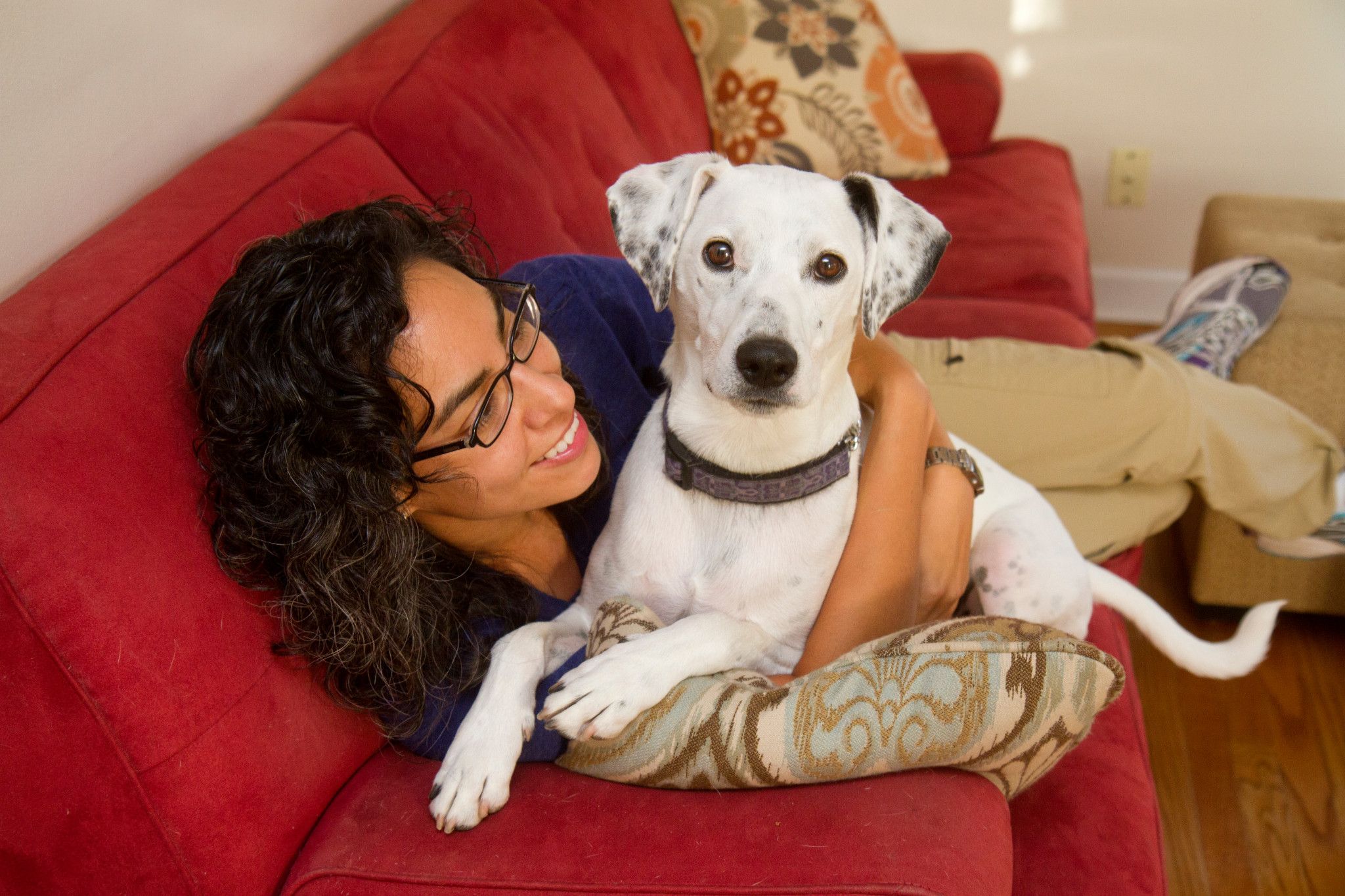 End steep pet fees for families in public housing Best Friends Animal