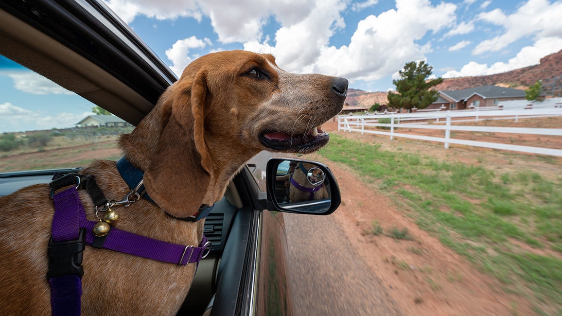 Donate A Car To Charity Tuscaloosa Al