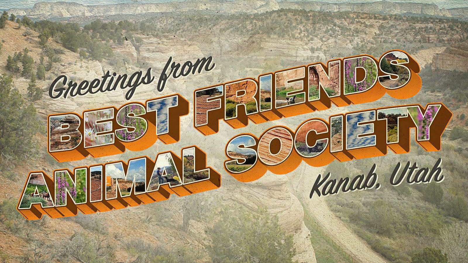 Plan Your Visit | Best Friends Animal Society - Save Them All