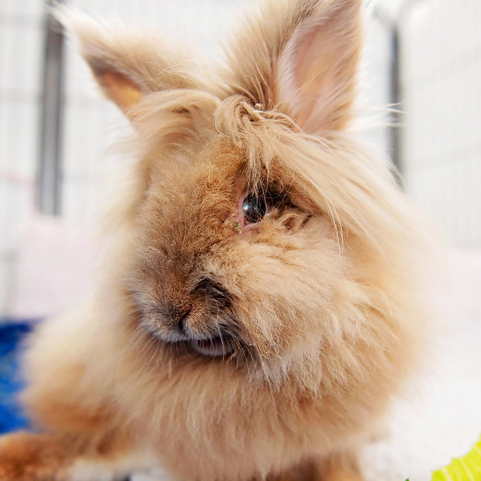 Animal Sanctuary | Best Friends Animal Society