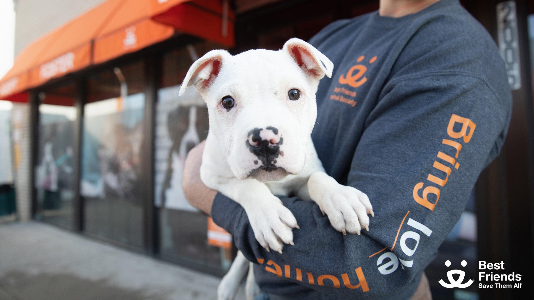 Chance the puppy being held in someone's arms