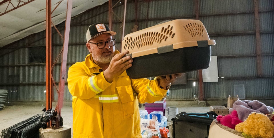 Person carrying a cat carrier during the Spokane, Washington wildfires