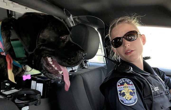 Black dog in the back seat of a police car as part of the Paws on Patrol program
