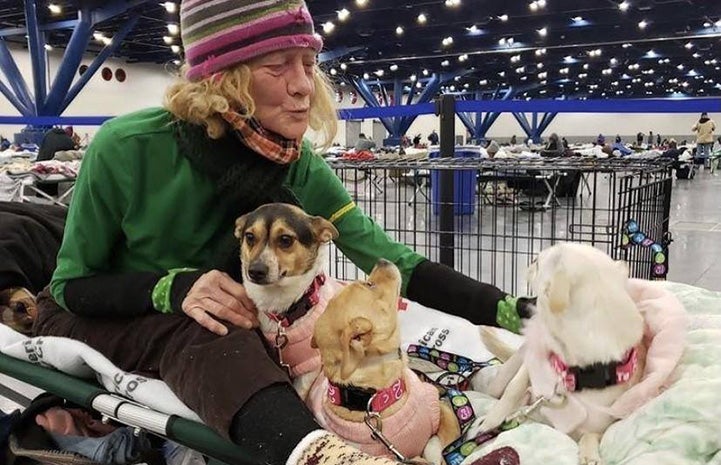 Woman wearing a hat in a convention center with three small dogs