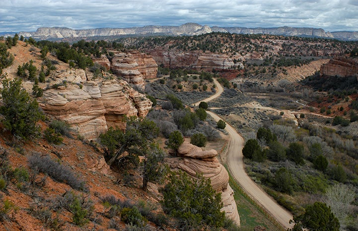 Overview of Angel Canyon