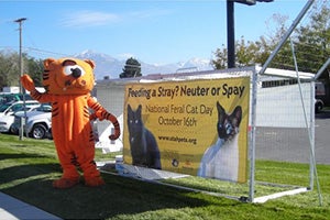 Holly Sizemore dressed up as Heathcliff the cat to encourage trap-neuter-return (TNR)