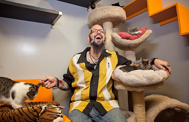 Jackson Galaxy in a room surrounded by cats