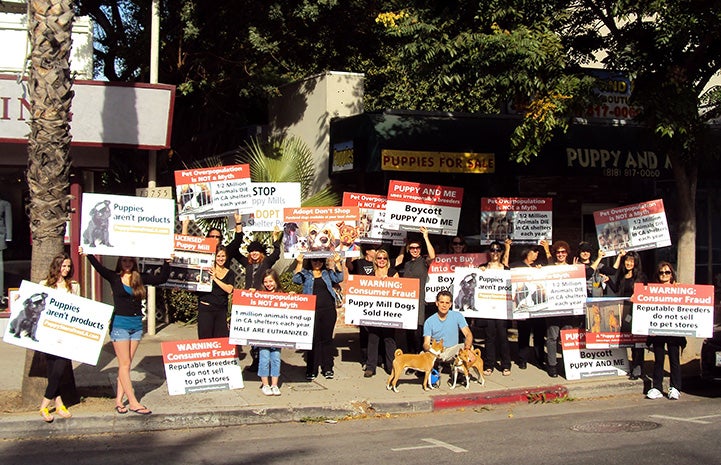 Peaceful protest of a pet store that sells puppies