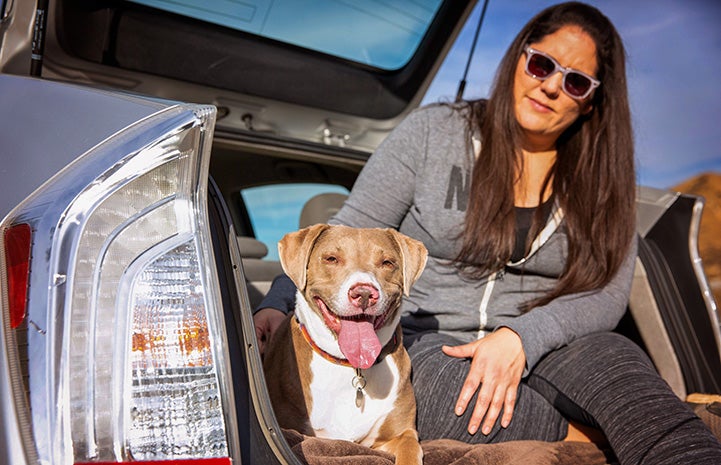 Woman sitting in the back of an open hatchback car with the brown and white dog she adopted