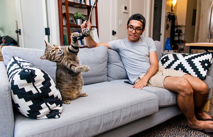 Man sitting on a couch playing with a wand toy with a cat