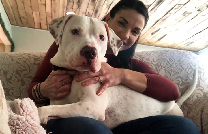 Woman sitting on a couch with Sailor the dog being hugged on her lap