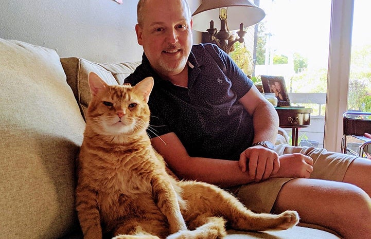 Steak the orange tabby cat sitting on a couch with a man sitting on the couch behind him