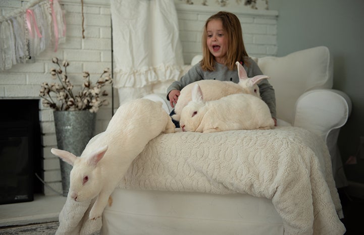 Diem, a five-year-old girl, on a bed with white rabbits, with one jumping off