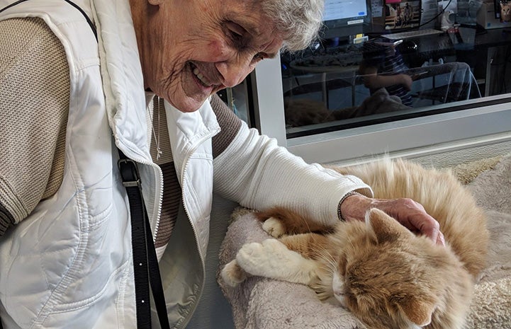 Older woman smiling and leaning down to pet the cream and white cat she's adopting