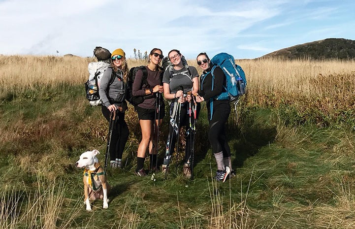 Stretch the dog out on a hike with some friends