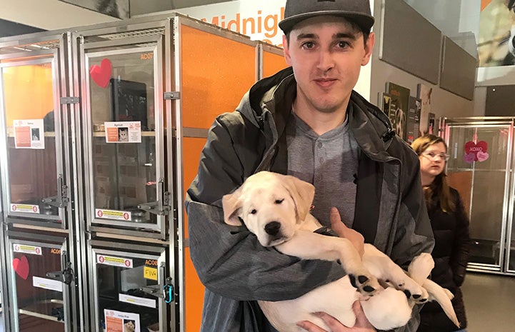 Man wearing a baseball cap cradling a sleeping yellow Lab type puppy