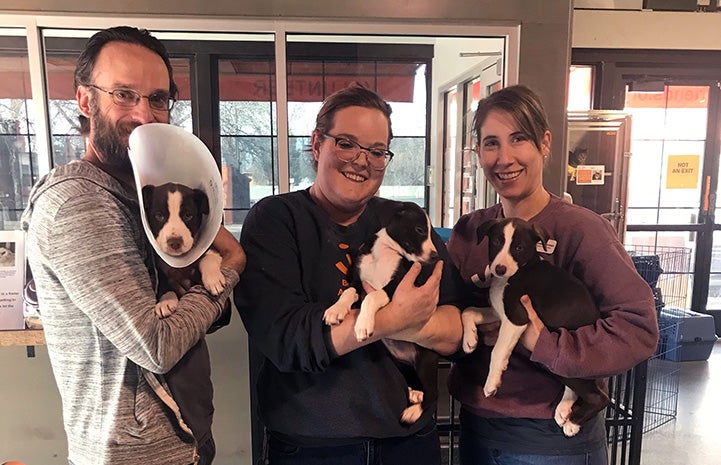 Three people standing next to each other, each holding a puppy, with the man's puppy wearing a protective cone on his neck
