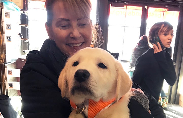 Smiling woman holding a yellow Labrador-type puppy wearing an orange harness