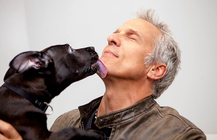 Actor Patrick Fabian being kissed in the face by puppy, Moonbeam