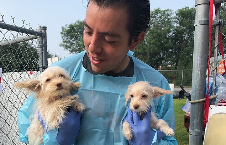 Luis Quintanilla holding two little puppies
