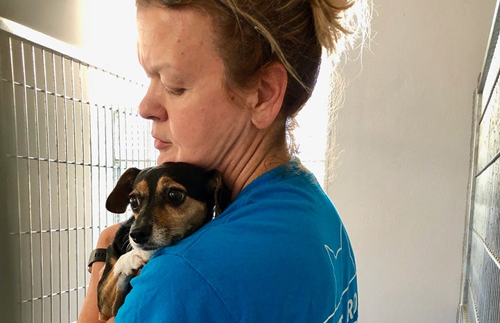 Woman cradling a small black, white and brown puppy on her shoulder