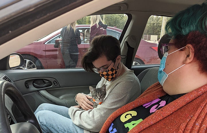 Woman in the passenger seat of a car holding a tabby kitten