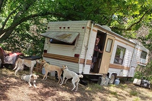 Person standing in the open door of a trailer with dogs wandering around outside