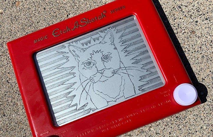 Etch-a-Sketch drawing of Cliquot the cat by artist Britt West