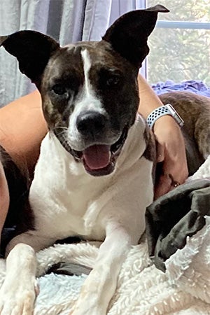 A person's arm around Joey the dog hugging her