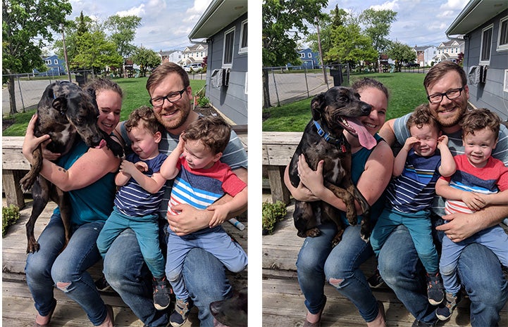 Side-by-side outtake photos of family photos that are attempting to get two children and a dog