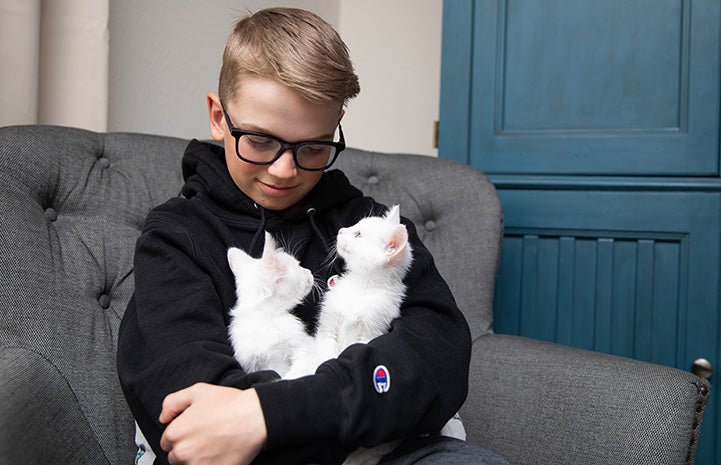 Young boy cradling a pair of white kittens who he's fostering
