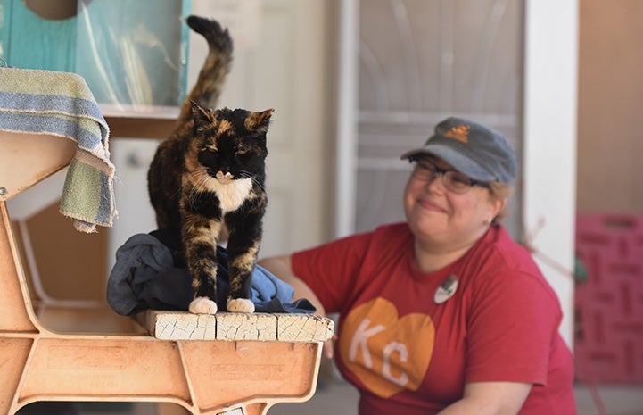 Smiling woman behind Meow the cat who is standing on a picnic table bench