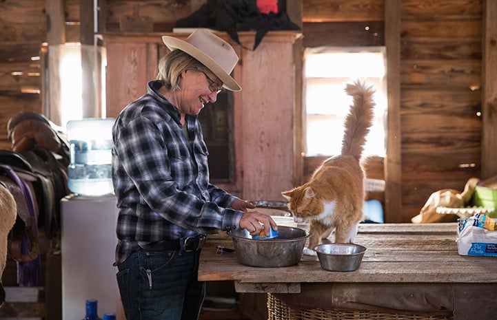 Woman wearing a plaid shirt and hat putting cat food in a stainless steel bowl with an orange and white cat with upright tail looking at the bowl