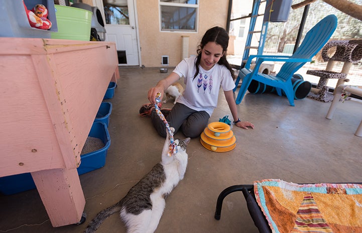 Lily Dick volunteering at Cat World after making a donation from her bat mitzvah