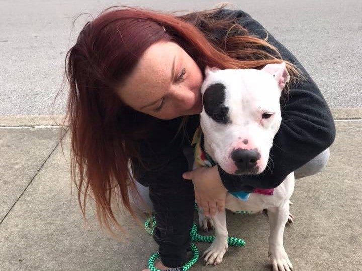 Bella the dog getting a hug from a woman