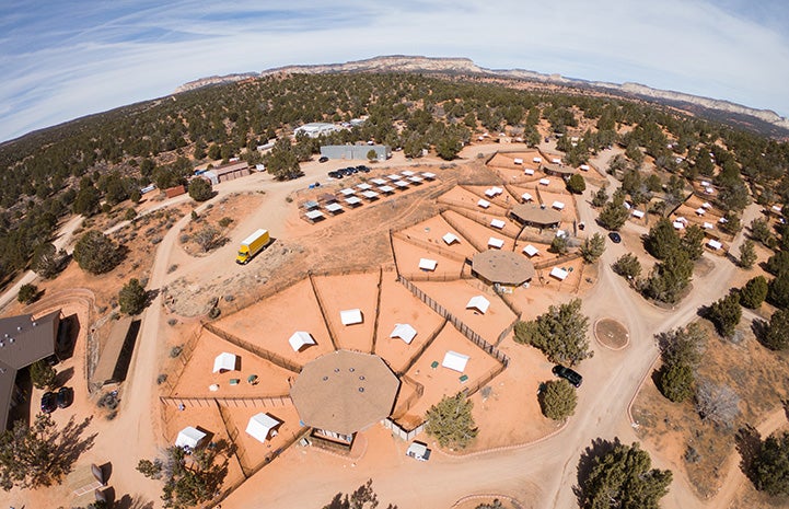 View from up in the sky in a drone looking down at Dogtown