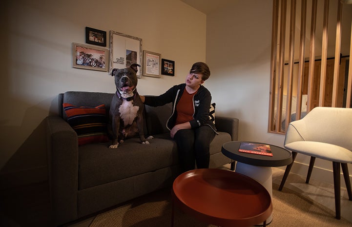 Hercules the dog on a couch with a woman during their sleepover at the Best Friends Roadhouse and Mercantile