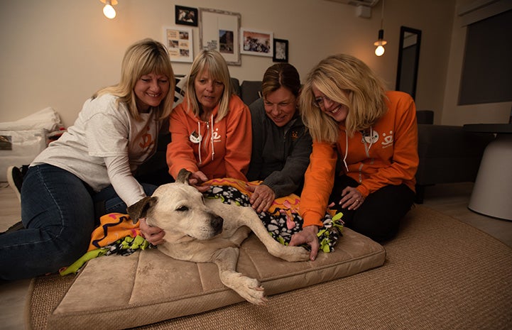 Spice the dog on a sleepover with four women at the Best Friends Roadhouse and Mercantile