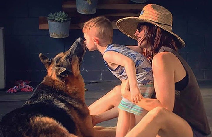 Georgie the dog kissing the face of a young boy with smiling woman wearing a hat next to them